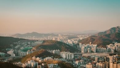 sector development overview summary