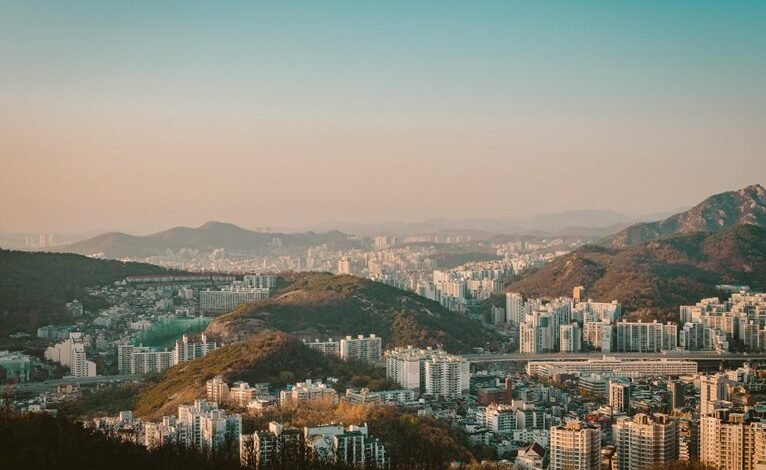 sector development overview summary