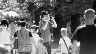 market performance data overview