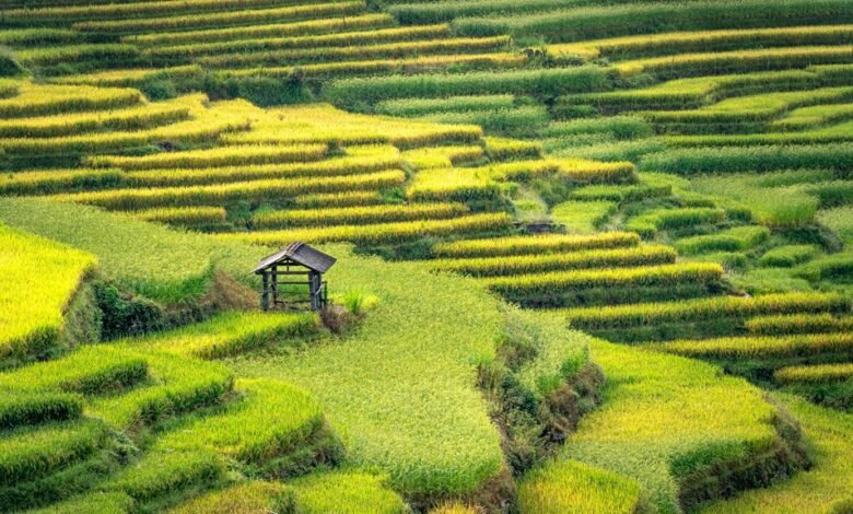 rapid growth hacking strategies