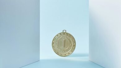 seo performance and rankings