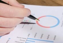 detailed public lookup review