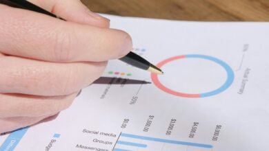 detailed public lookup review