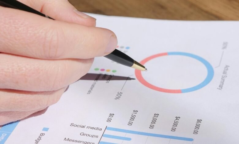 detailed public lookup review