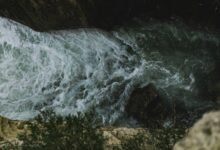 opportunity surge for nova