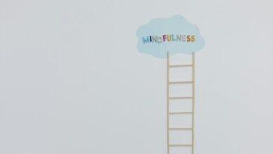 stellar apex growth ladder