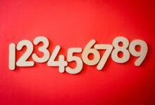 beginner s guide 7252799543 details