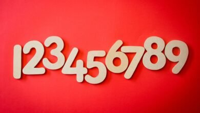 beginner s guide 7252799543 details